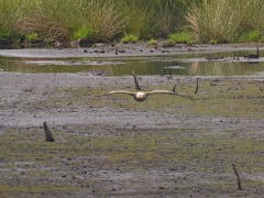 0_Bildgroesse-aendern