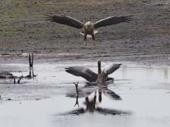 3_Bildgroesse-aendern