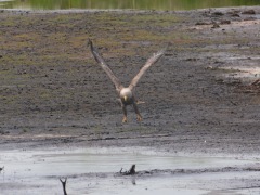 4_Bildgroesse-aendern