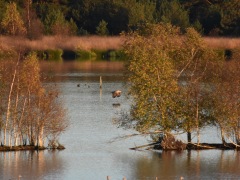 DSC_1890_Bildgroesse-aendern